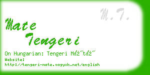 mate tengeri business card